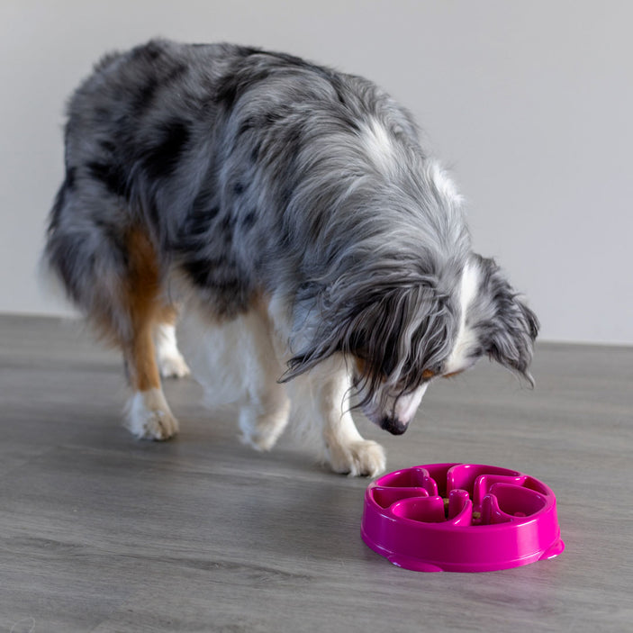 Pink Flower Slow Feeder Bowl