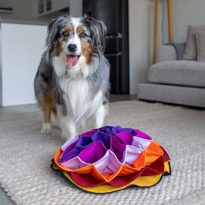 Lili Advanced Snuffle Pad