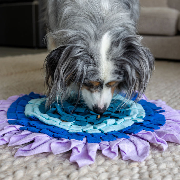 Iris Bloom Snuffle Mat