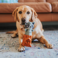 Raccoon 2in1 Soft + Rubber Toy Treat Dispenser