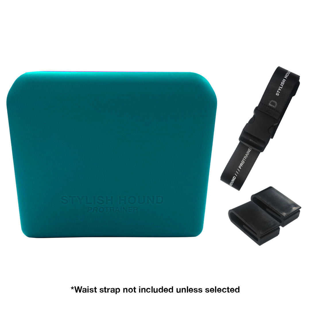 Teal Pro Trainer Silicone Pouch
