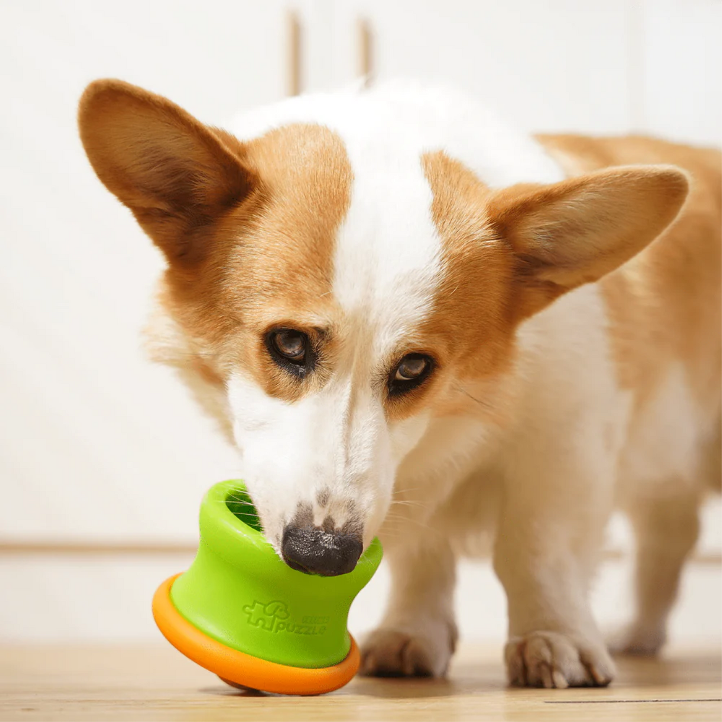 Medium Dog Puzzle Tumbler