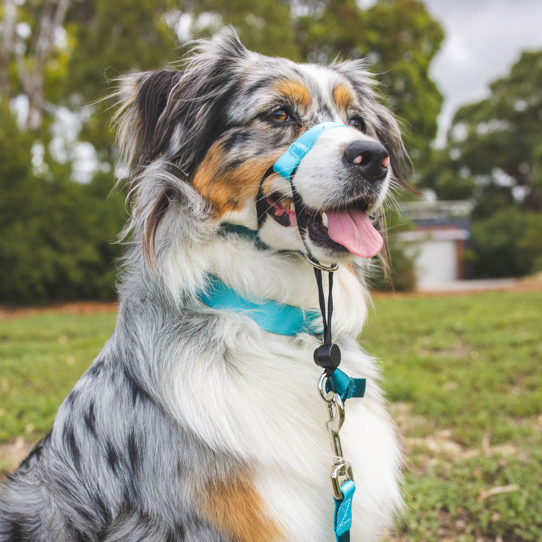 Quartz Halter - Quartz