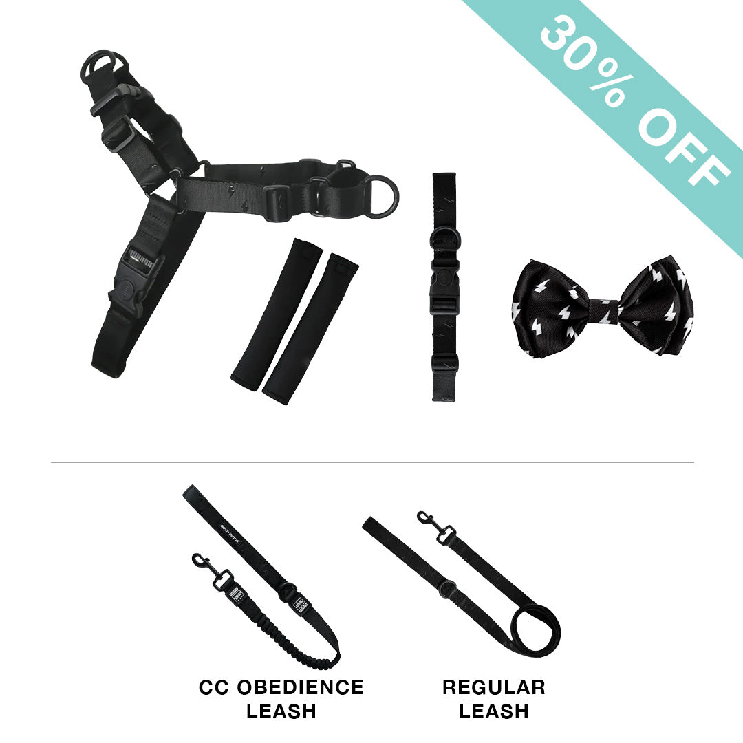 RNT No-Pull Harness + Leash + Collar + Bow Tie