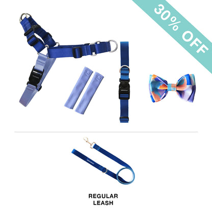 RNT No-Pull Harness + Leash + Collar + Bow Tie