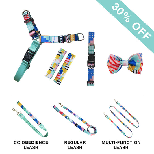 RNT No-Pull Harness + Leash + Collar + Bow Tie