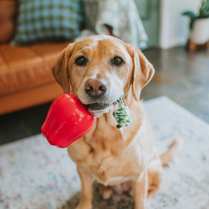 Red Apple Toy Power Chew