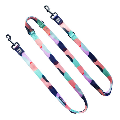 Multi-Function Leash