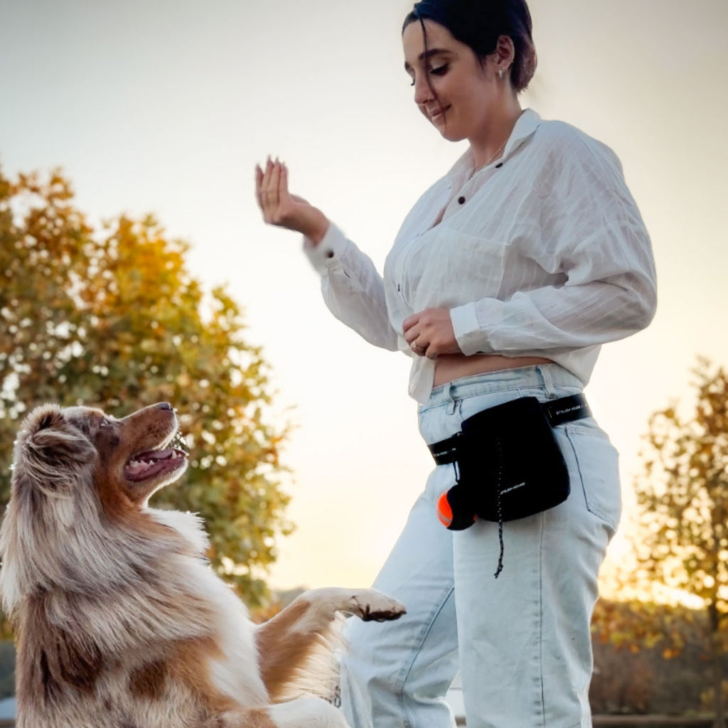 Black Train n' Treat Pouch