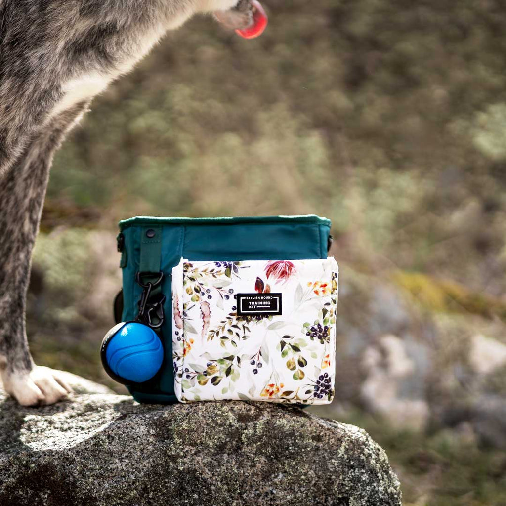 Elite Trainer Kit - Evergreen