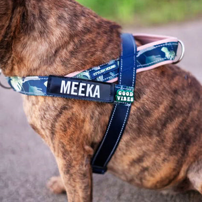Personalised No-Pull Harness