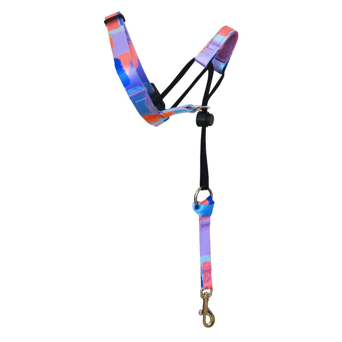 Chrome Halter Bundle