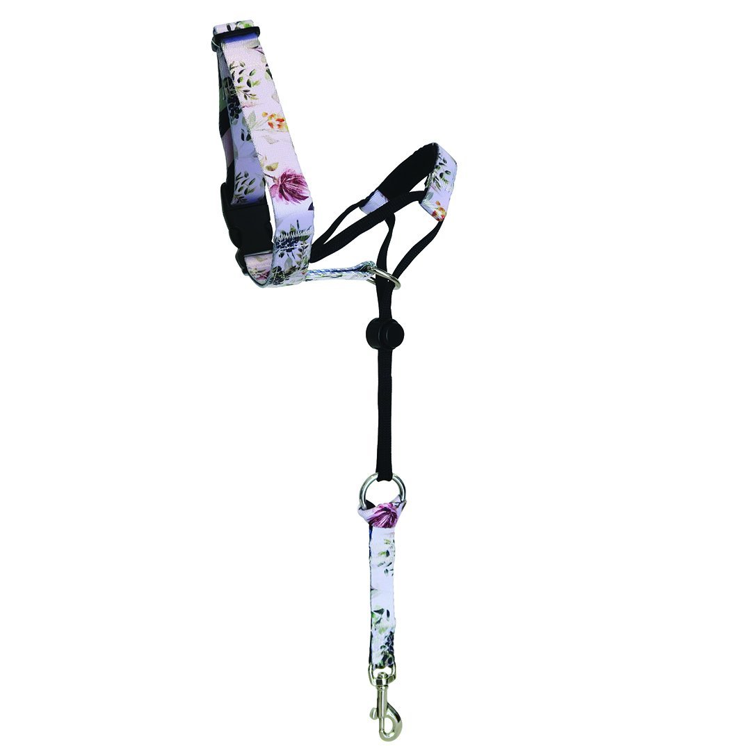 Evergreen Halter - Evergreen