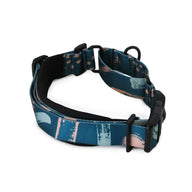Nova Martingale - Nova
