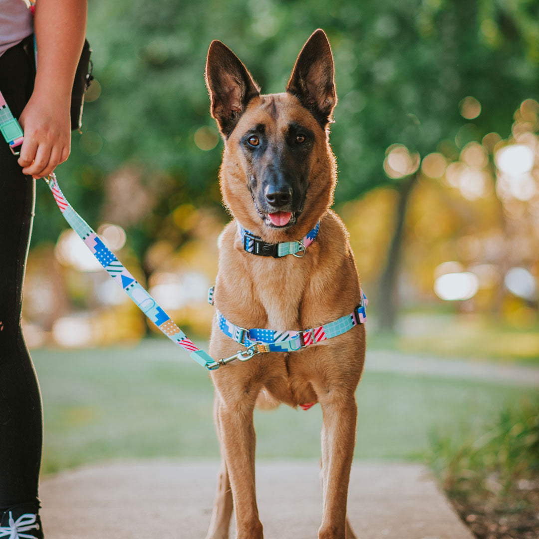 Milano Multi-Function Leash - Milano