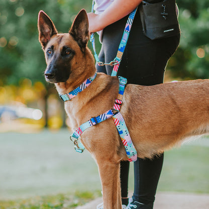 Milano Multi-Function Leash - Milano