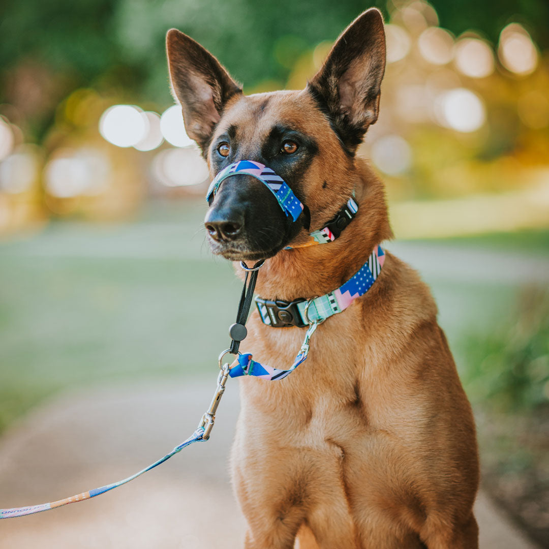 Milano Leash - Milano