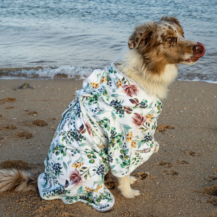 Evergreen Dog Robe