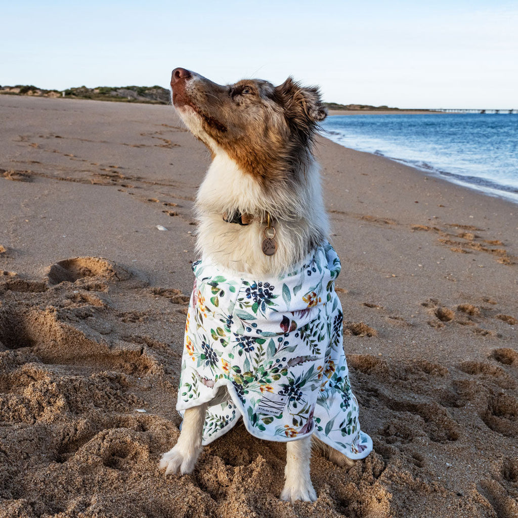 Evergreen Dog Robe - Evergreen