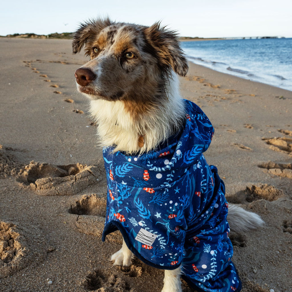 Ocean Blue Dog Robe