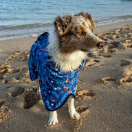 Ocean Blue Dog Robe