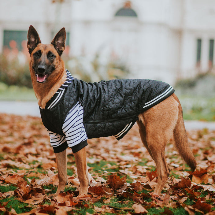 Black Grand Slam Bomber Jacket