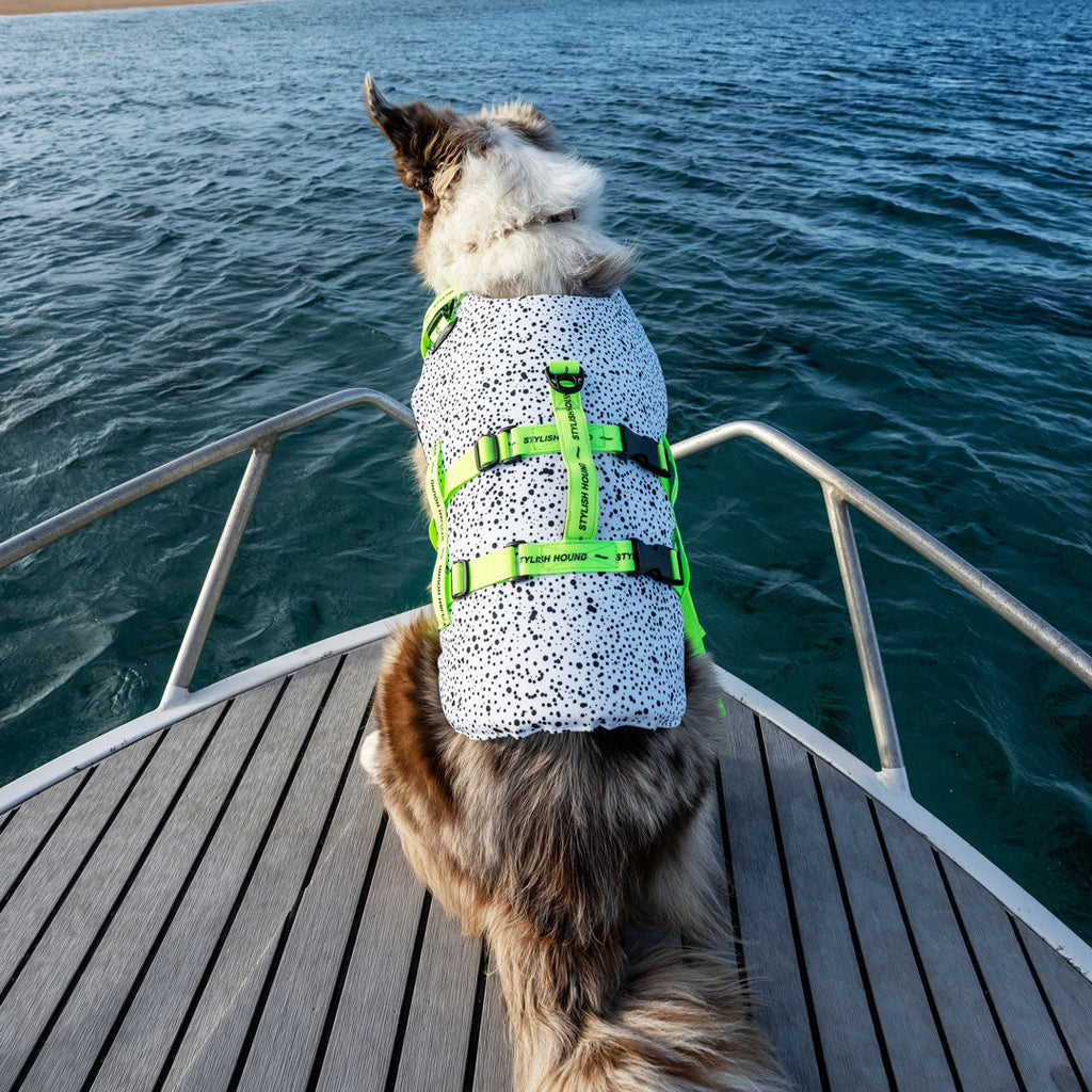 Jackson Swim Jacket - Jackson