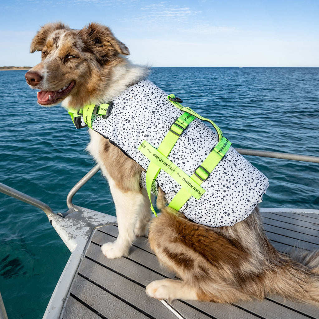 Jackson Swim Jacket - Jackson