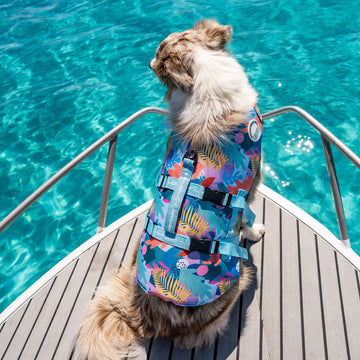 Paradise Dog Swim Jacket
