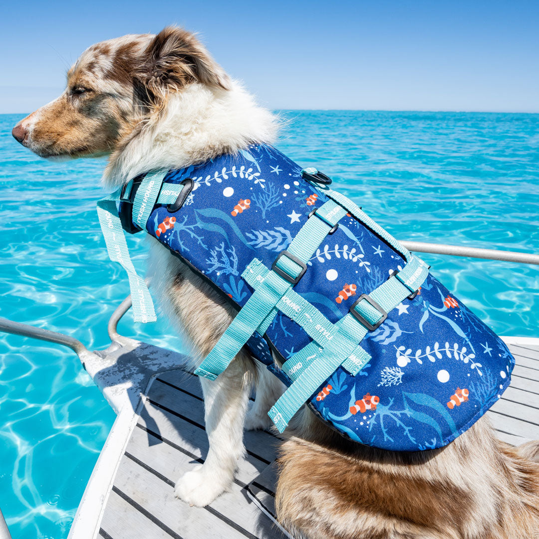 Ocean Blue Swim Jacket - Ocean Blue