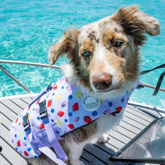 Summer Zest Dog Swim Jacket