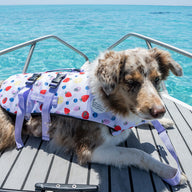 Summer Zest Dog Swim Jacket