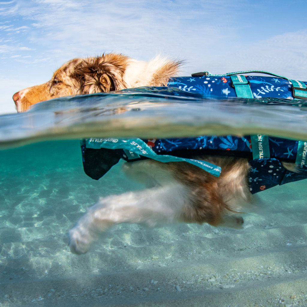 Ocean Blue Swim Jacket - Ocean Blue
