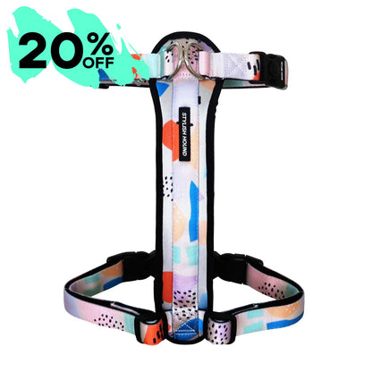 Explorer Chest Plate