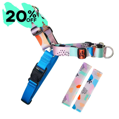 RNT No-Pull Training Harness