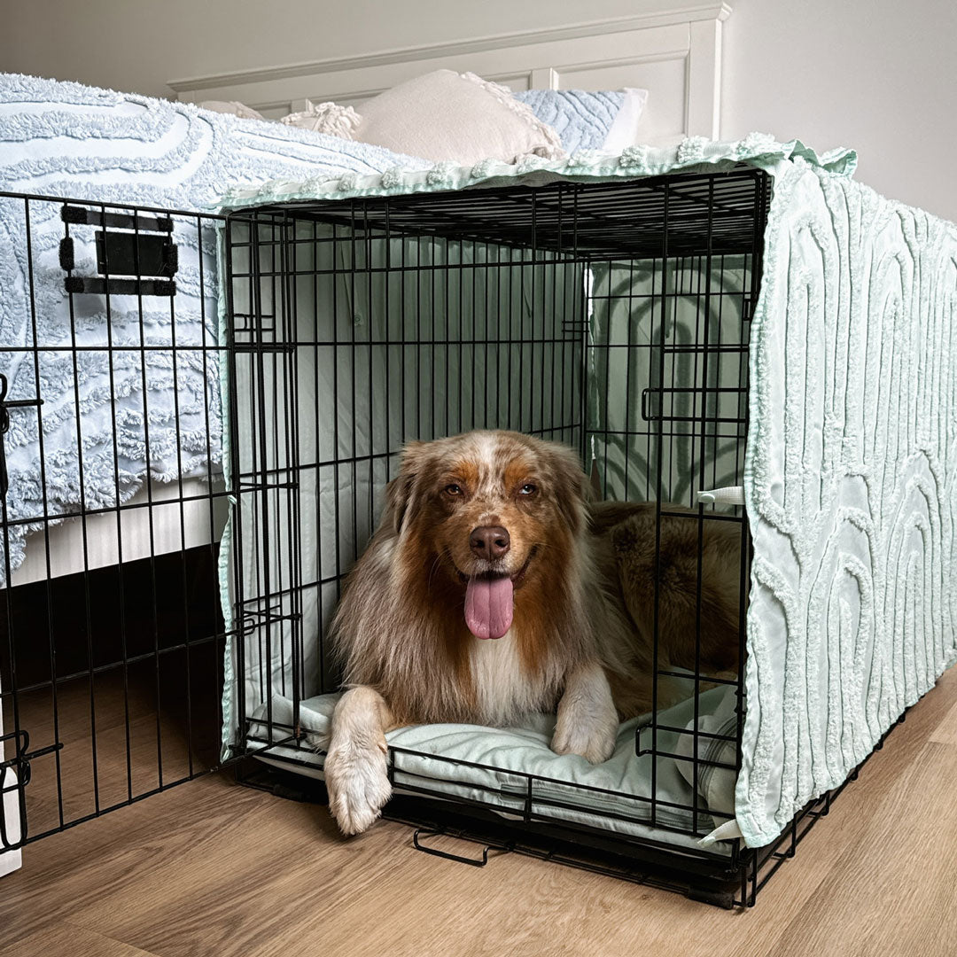 Sage Basic Cover - Sage