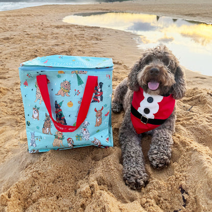 Christmas Festive Chillie Bag