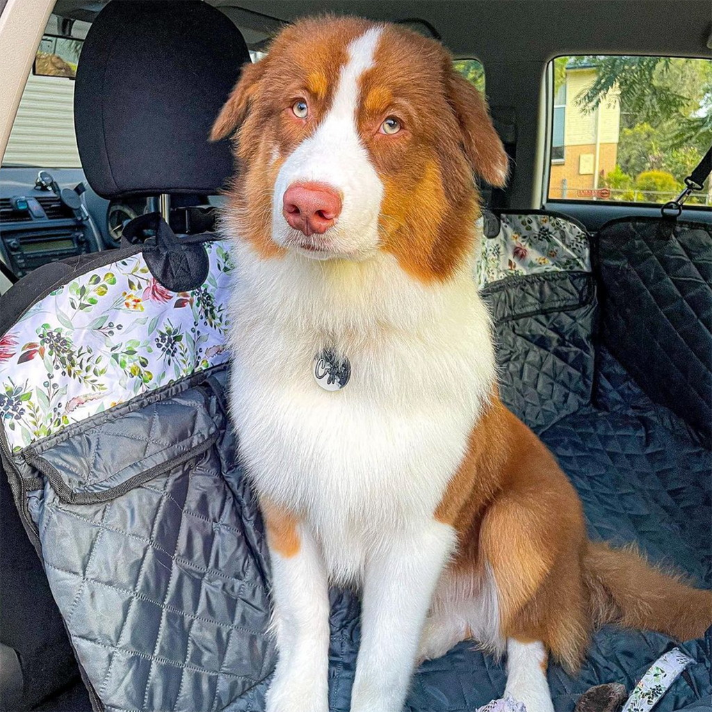 Evergreen Back Seat Cover w Travel Bag