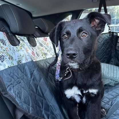 Back Seat Cover Bundle