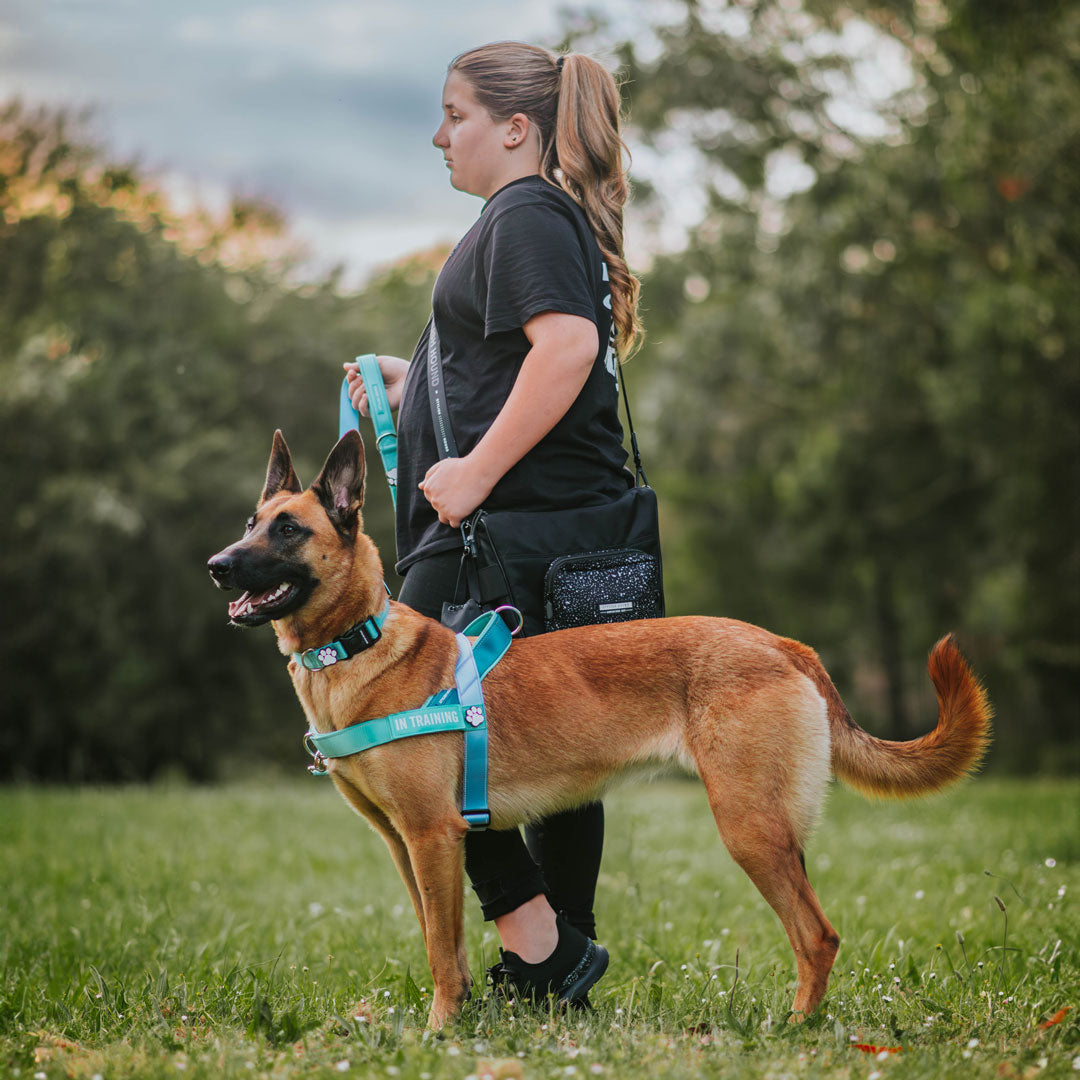 Personalised No-Pull Harness
