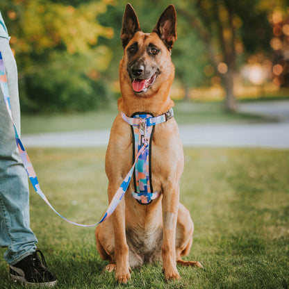 Chrome Explorer Chest Plate - Chrome