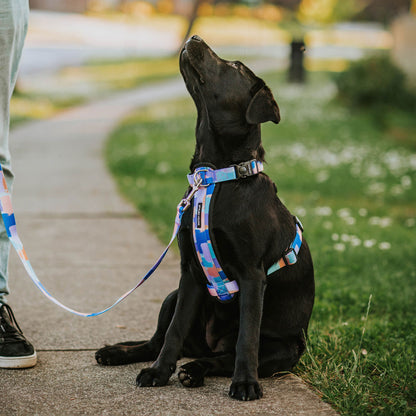 Chrome Explorer Chest Plate - Chrome