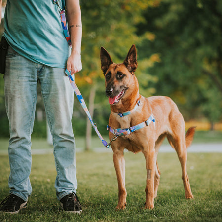 Chrome Multi-Function Leash - Chrome