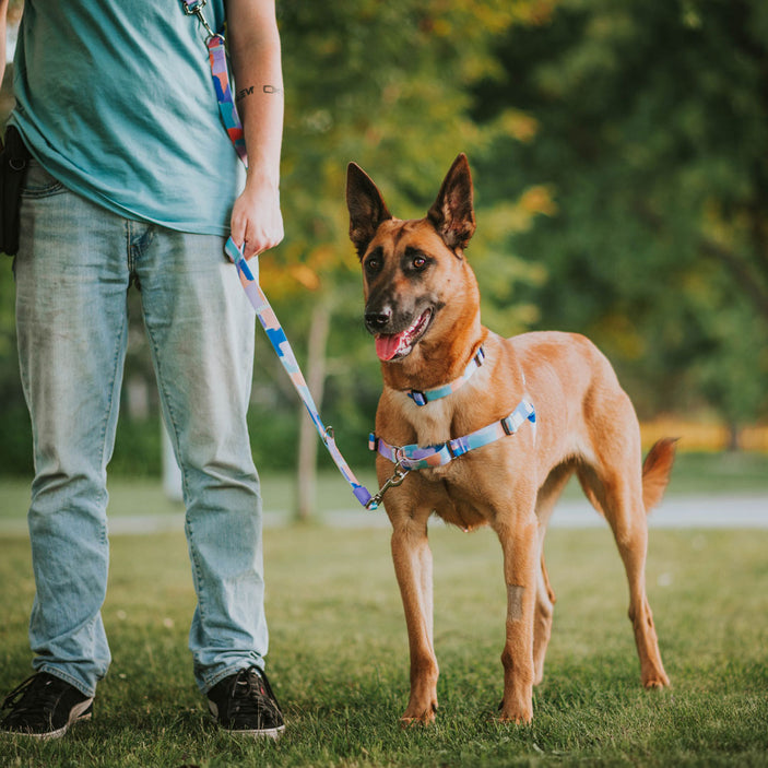 Chrome RNT No-Pull Training Harness - Chrome