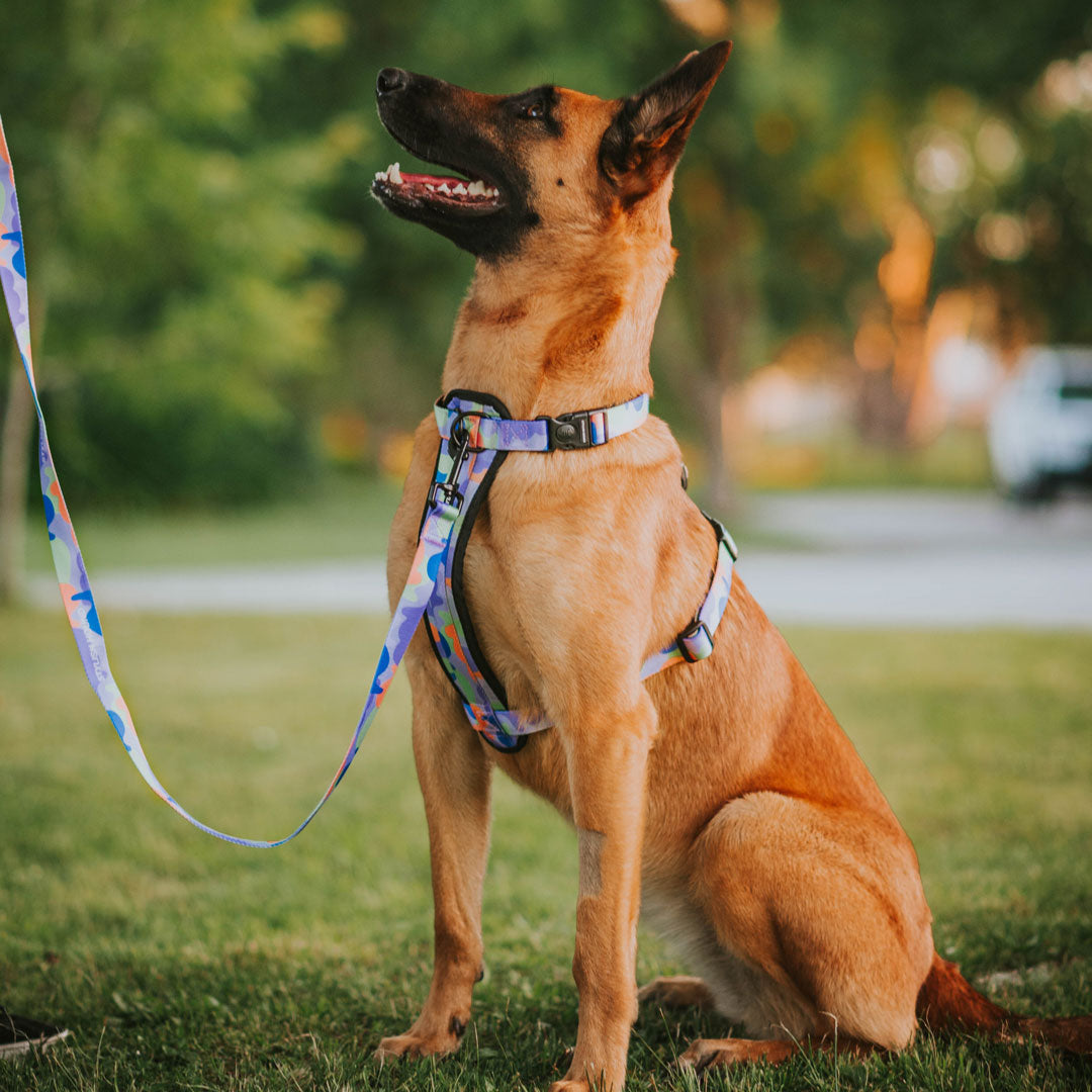 Luna Explorer Chest Plate - Luna