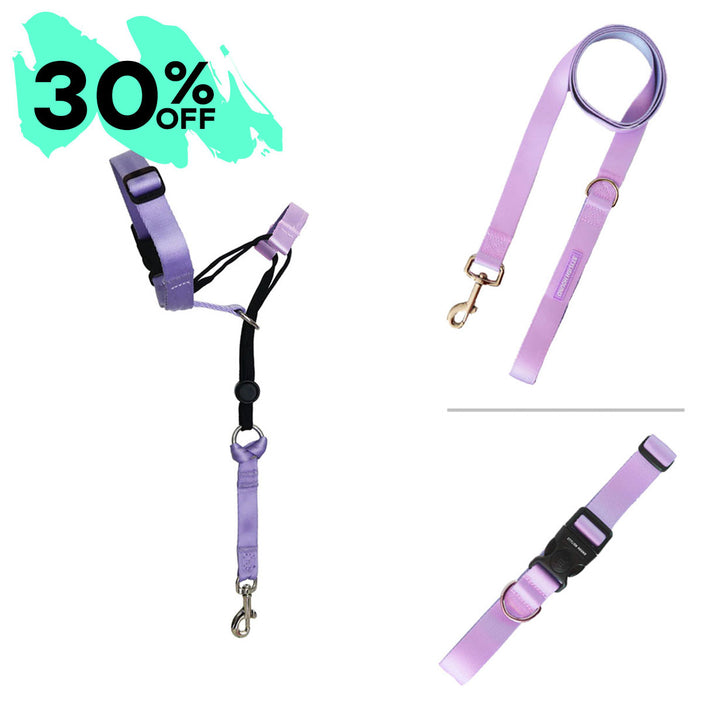 Sorbet Halter Bundle