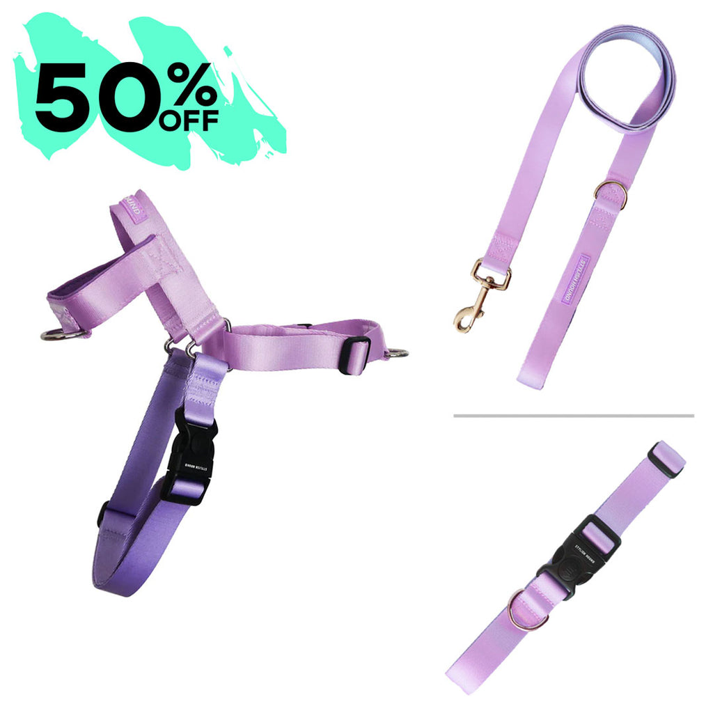 Sorbet OG Harness Bundle