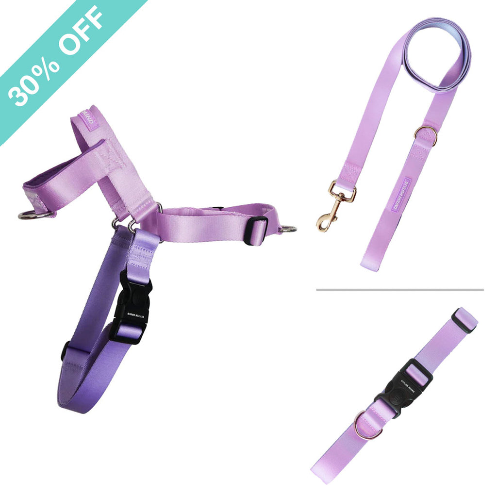 Sorbet Harness Bundle