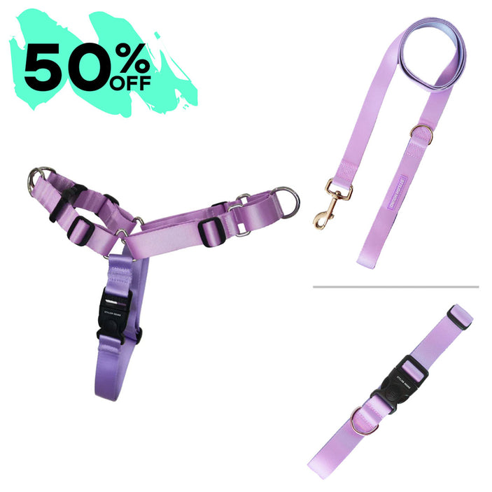 Sorbet Harness Bundle