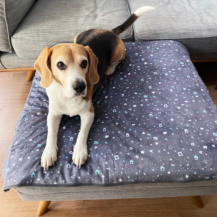 Starry Night Crate Blanket